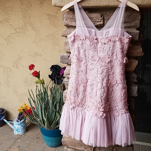 Beautiful Blush BCBGMAXAZRIA Formal Dress - Picture 2 of 5